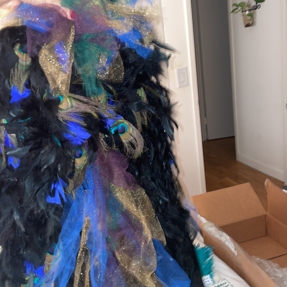 Peacock costume and brand new shoes - Picture 6 of 10